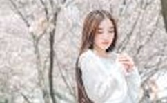 狼群资源在线观看免费完整版